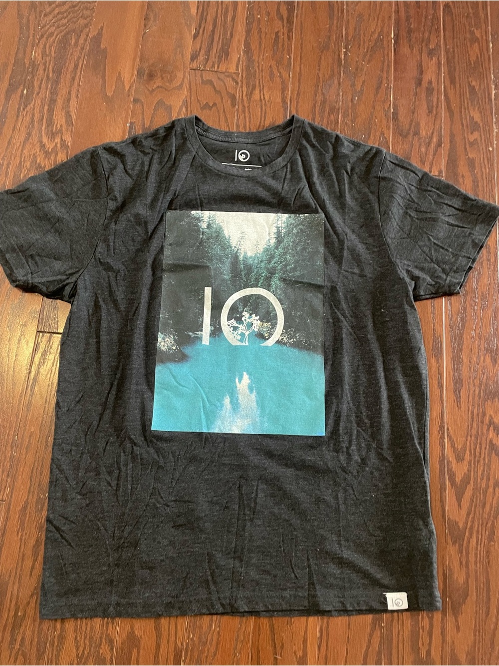 10 Tree Ten Tree Men’s T Shirt Large Graphic Tee - Black with Teal Print